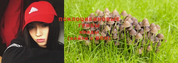 спайс Бородино